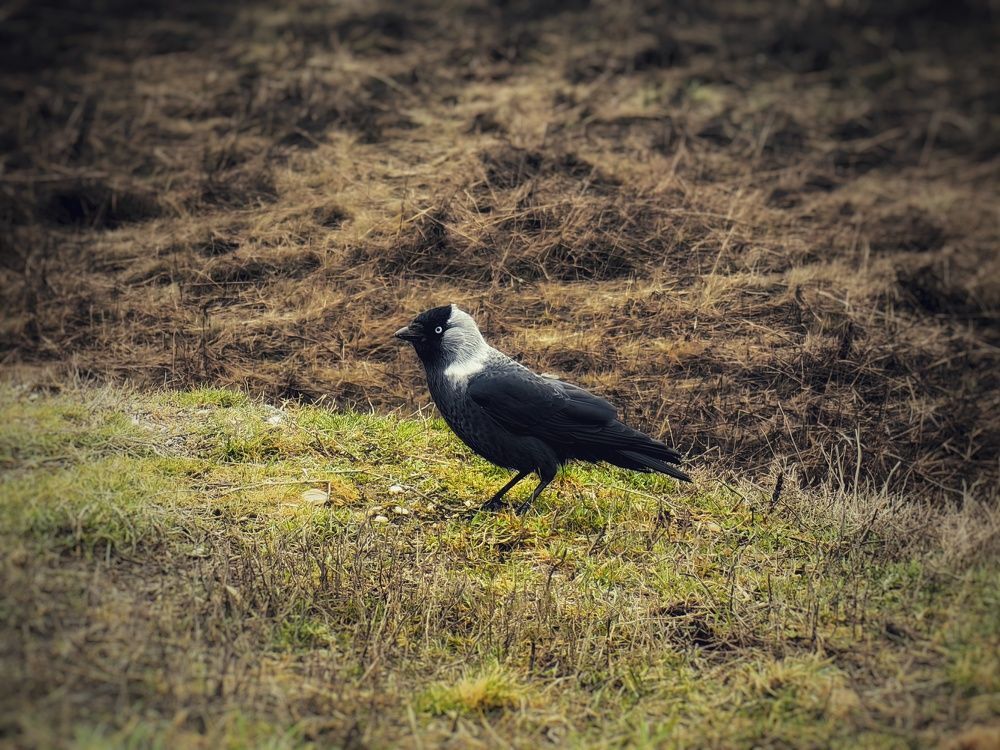 Photograph by Сергей Зайцев