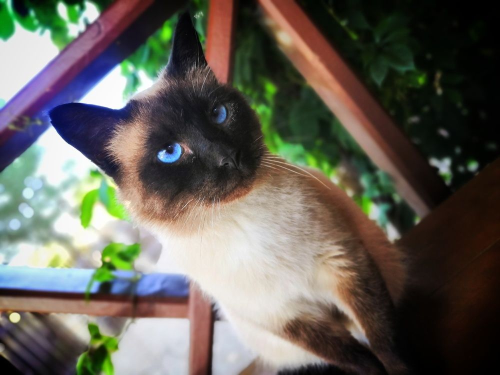 Photograph by Сергей Зайцев