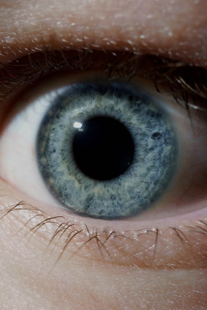 Фотография автора Вячеслав Афанасьев