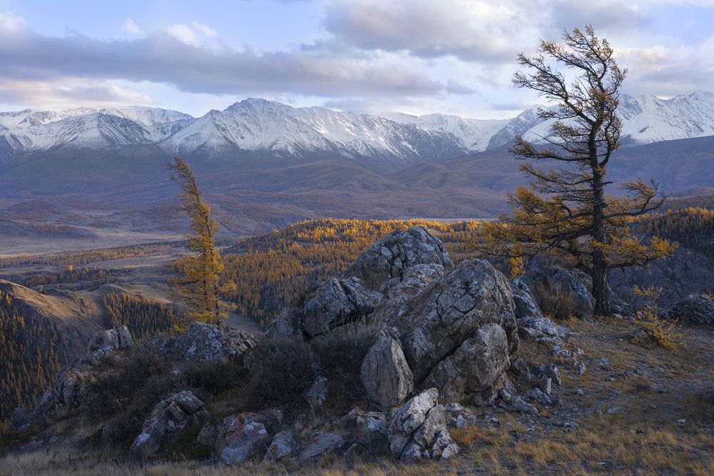 Фотография автора Галина
