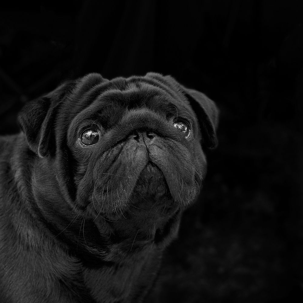 Фотография автора Ирина Сафонова