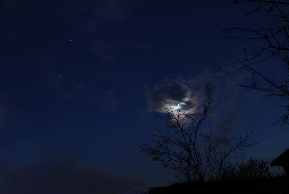 Silence in the night