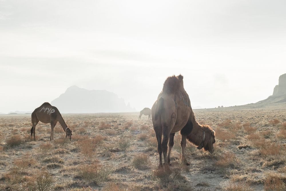 Photograph by Кермен Манджиева