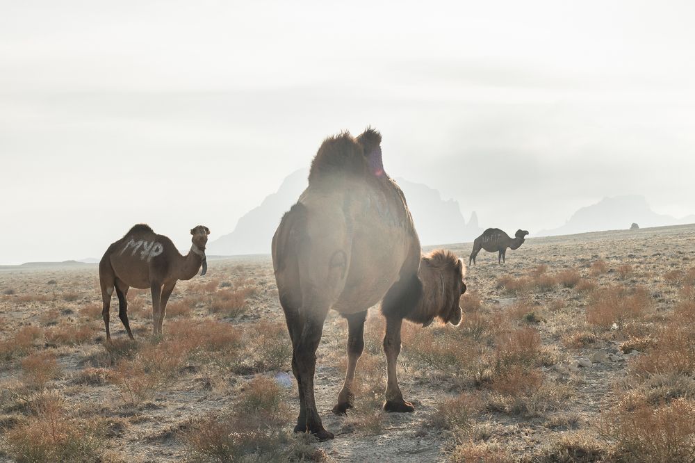 Photograph by Кермен Манджиева