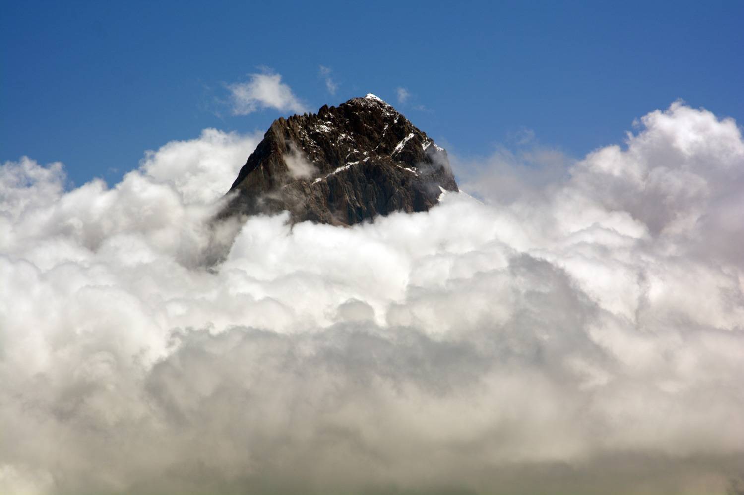 Photo #11314044