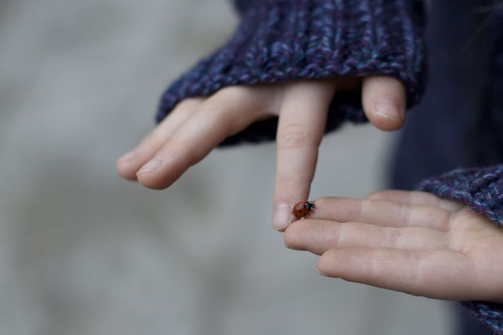 Photograph by Виктория Максименко