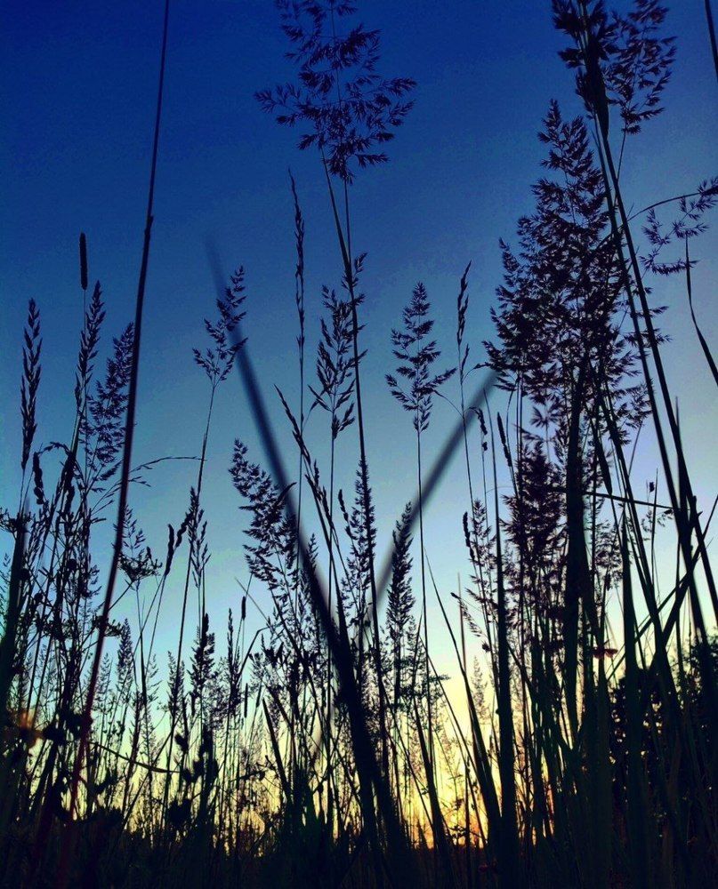 Photograph by Наталья