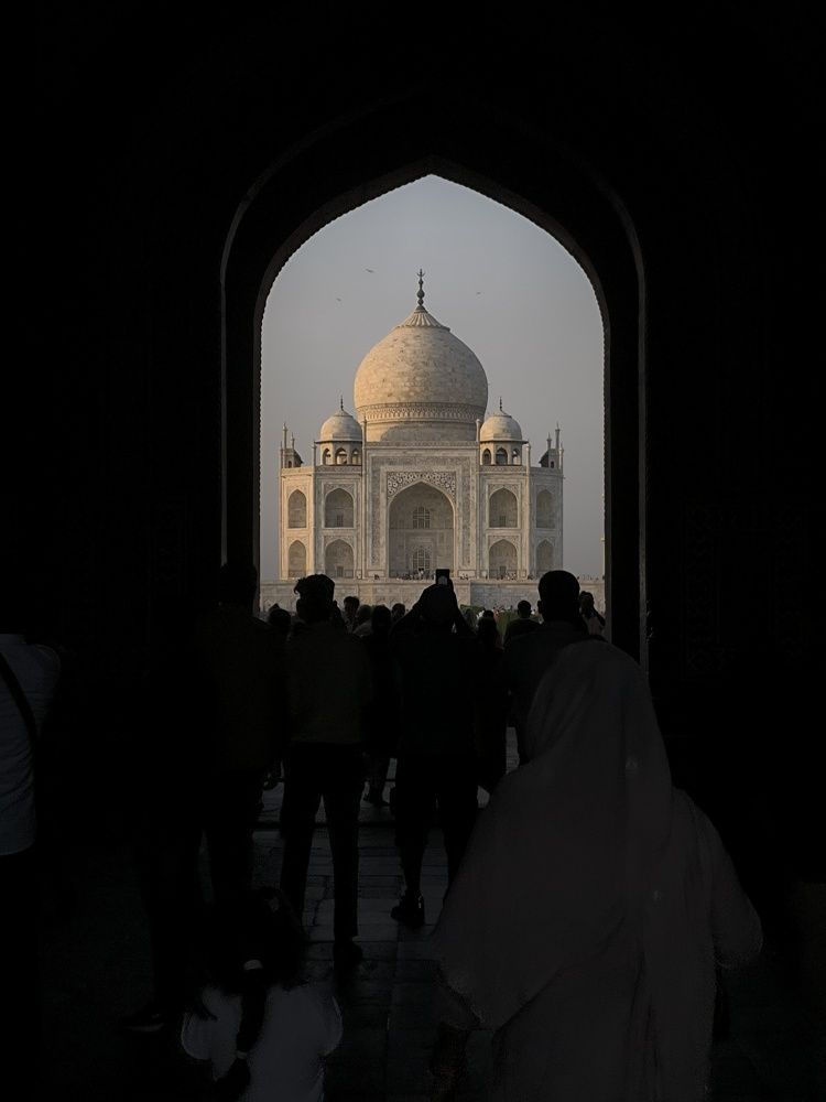 Photo #11314095