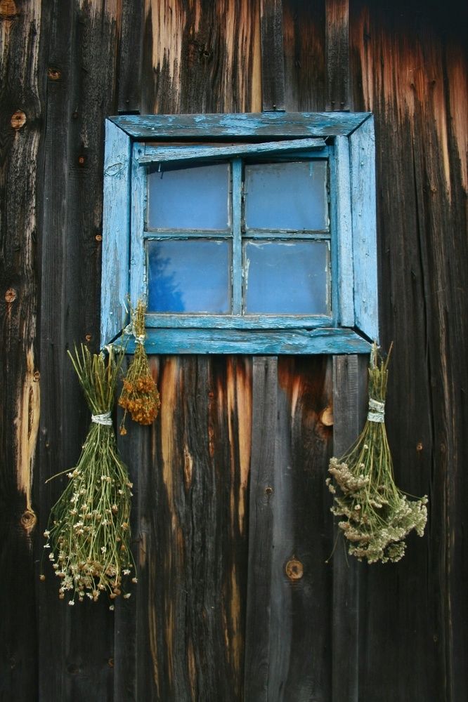 Photograph by Дарья Вихорева