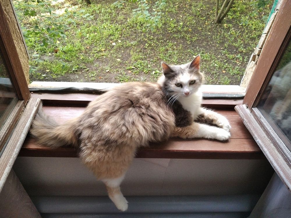 Photograph by Наталья Путилина