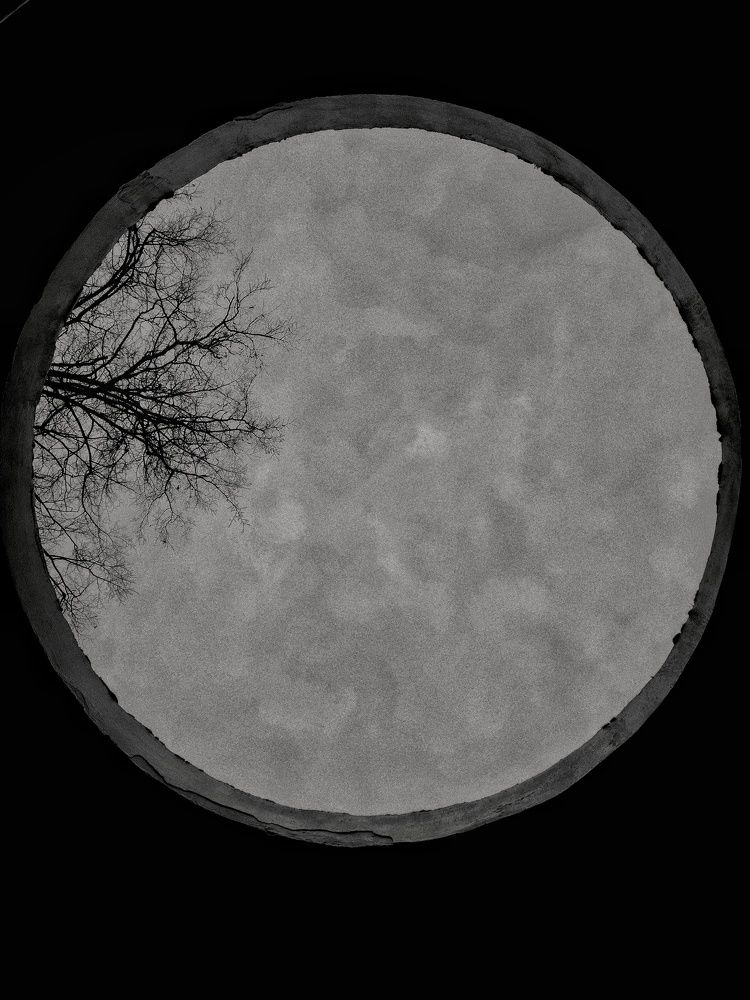 Photograph by Алина