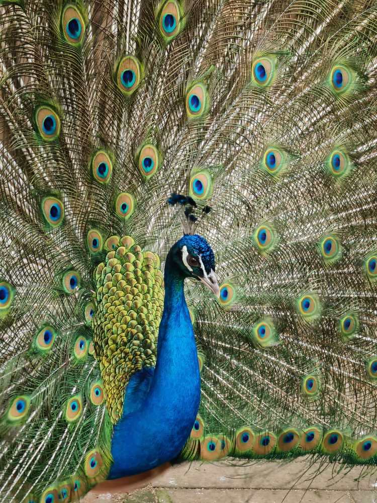 Photograph by Наталья Иванова