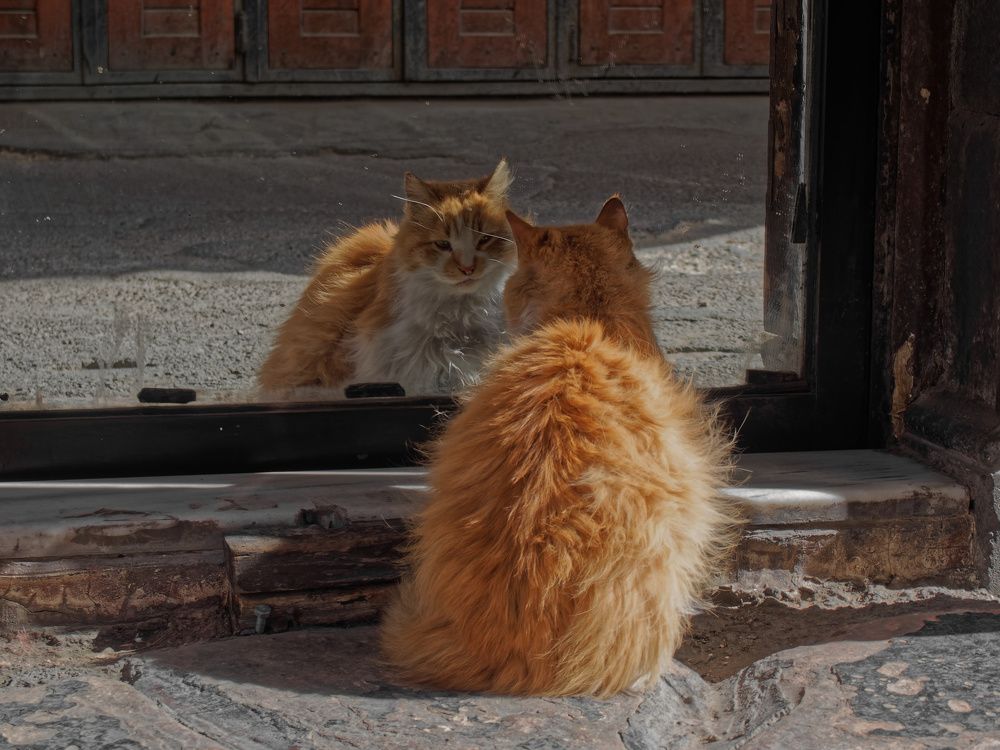 Photograph by Андрей Панин