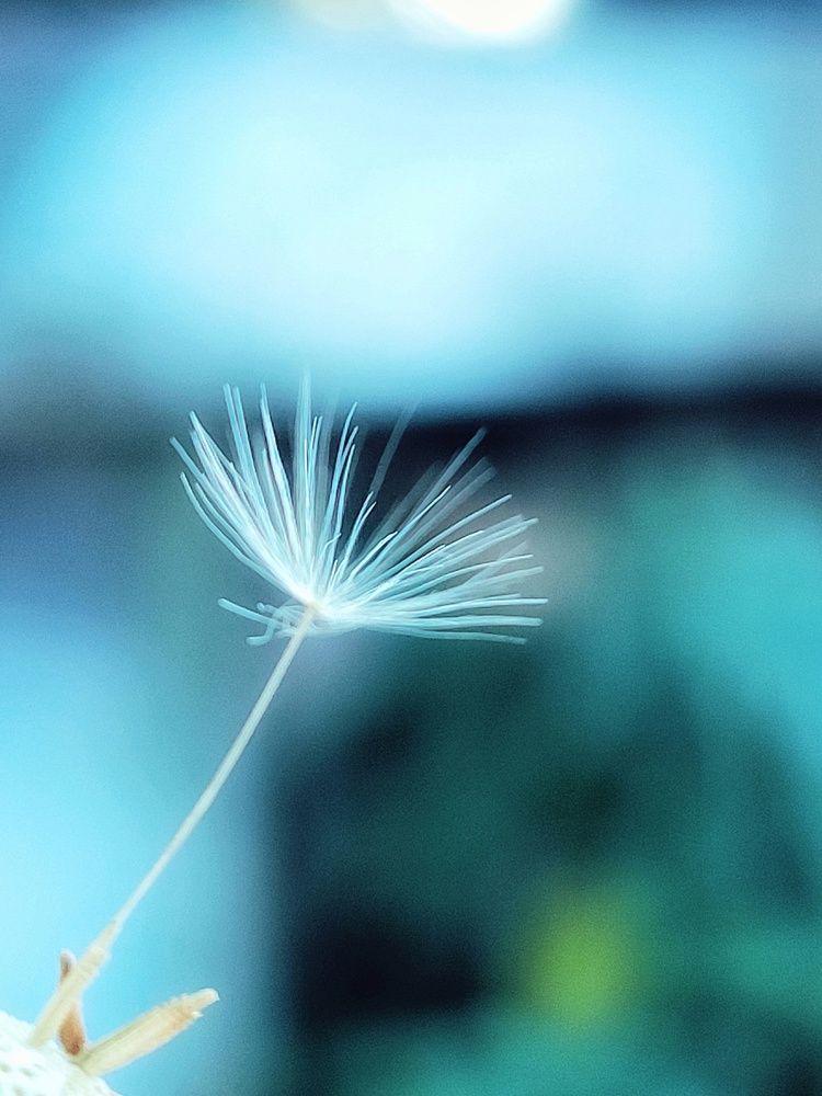 Photograph by Алина