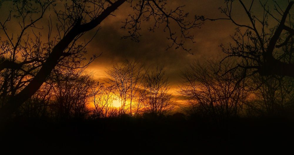 Photograph by Roberto Hagemann