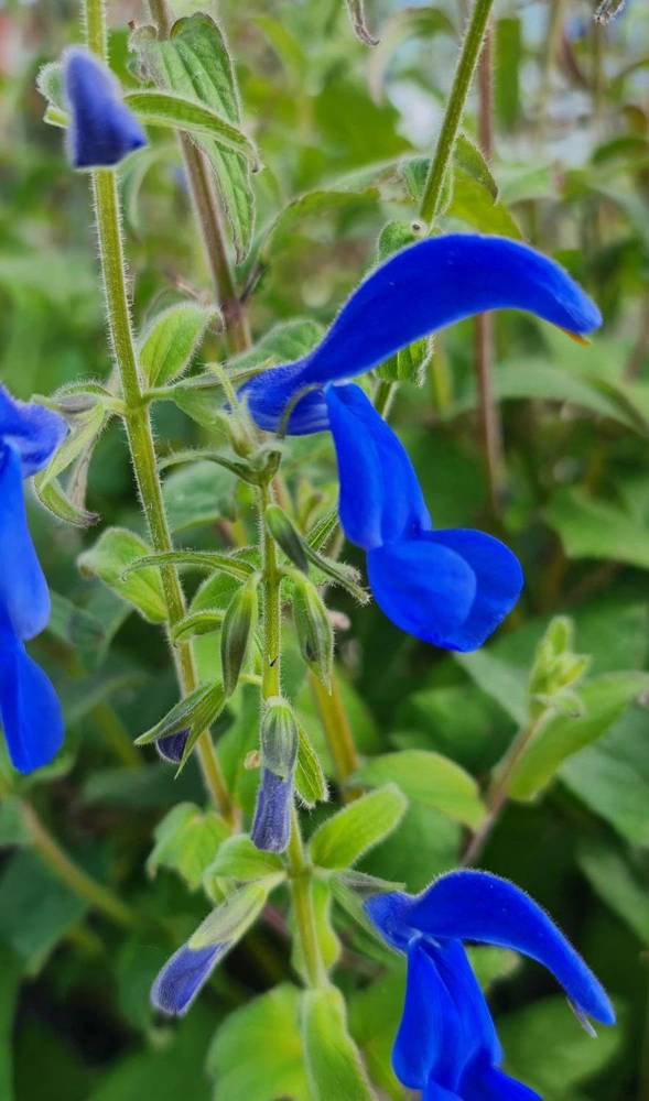 Photograph by Наталья Иванова