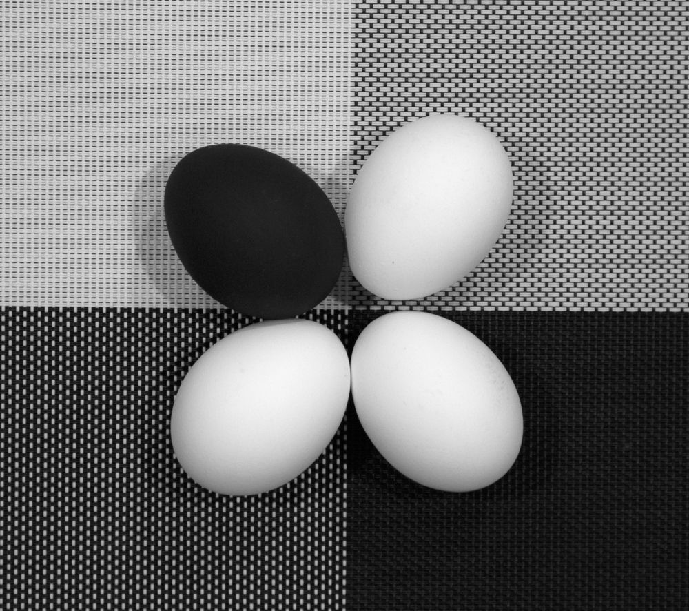 Photograph by Анастасия Северюхина