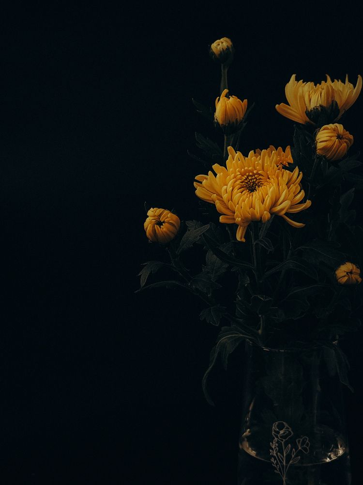 Photograph by Светлана Фоменко