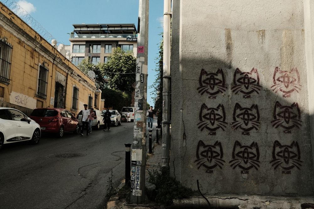 Photograph by Nikita Pushnikov