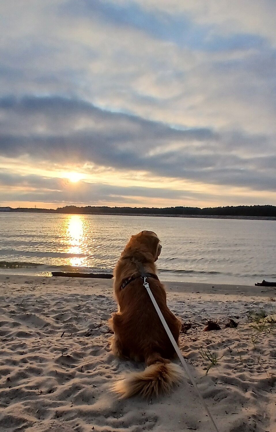 Photo #11314346