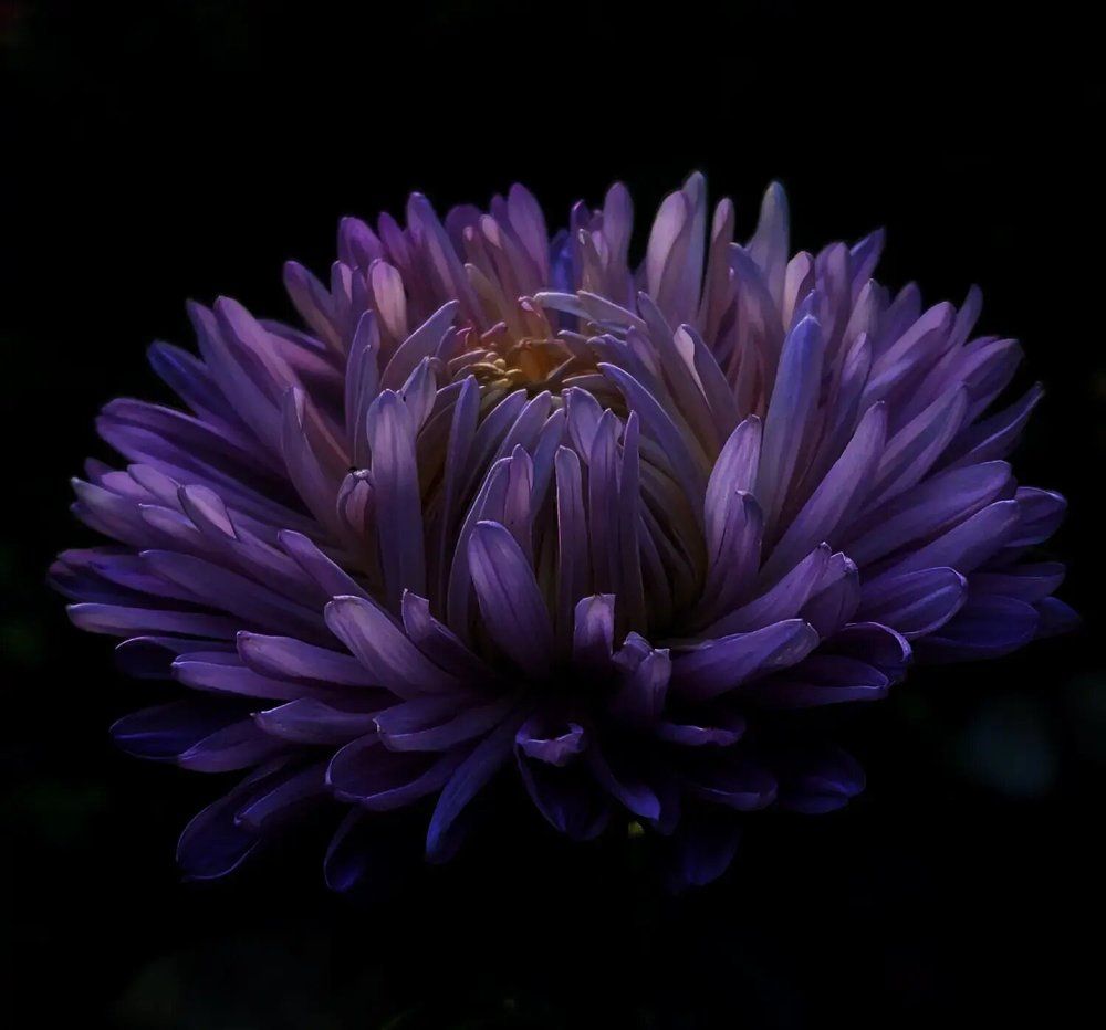 Фотография автора Татьяна Сякина