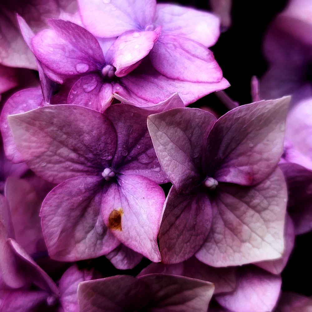 Фотография автора Татьяна Сякина