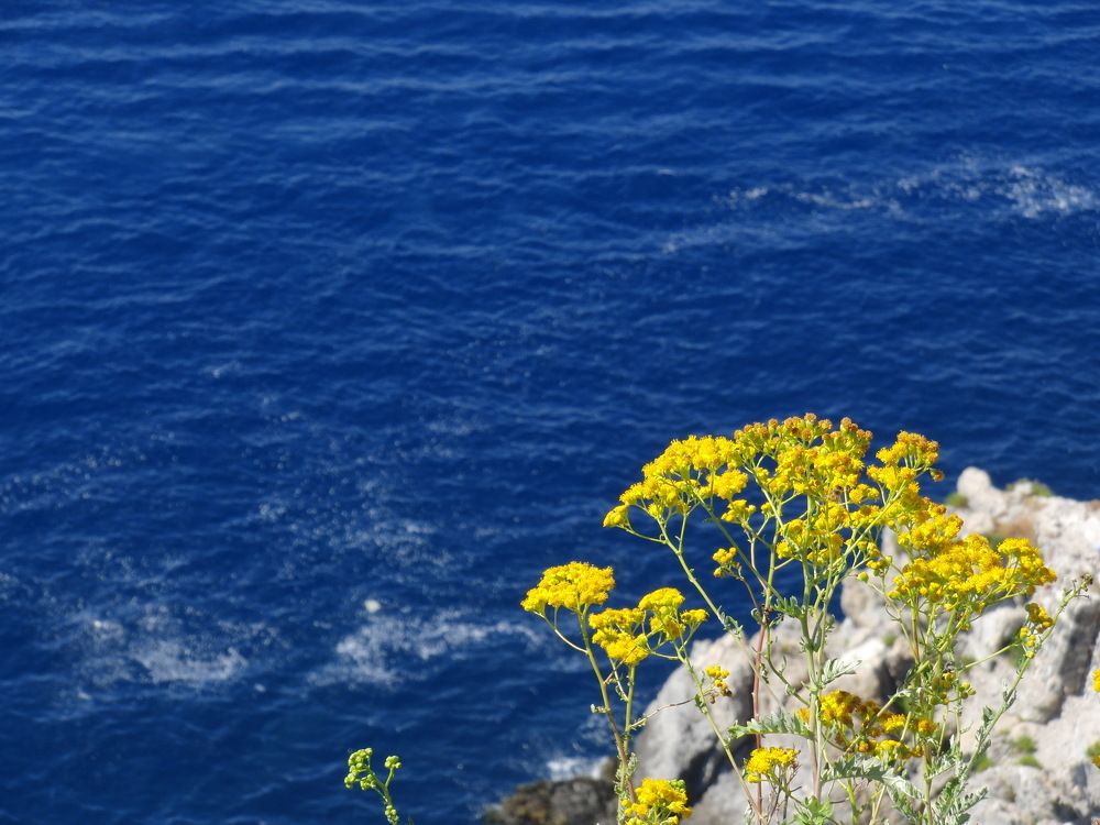 Photograph by Вадим Богатиков