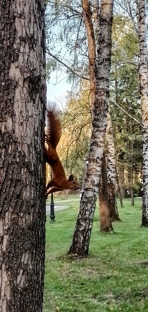Фотография автора Мария