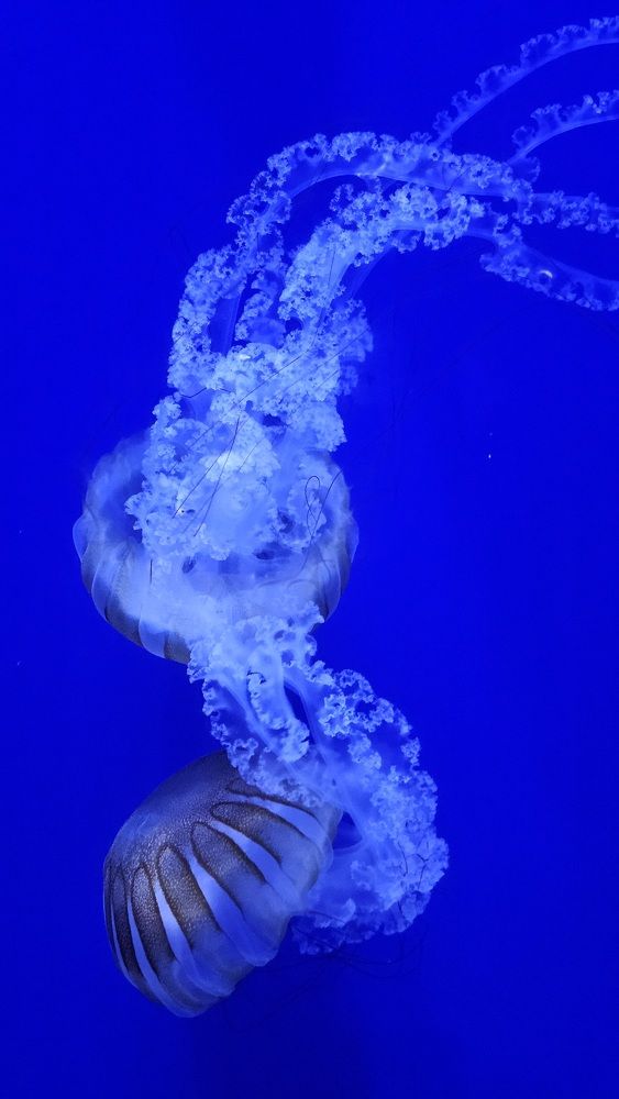 Photograph by Вадим Богатиков