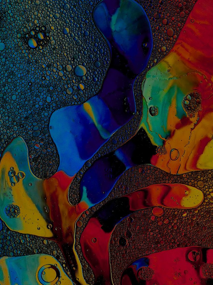 Фотография автора Ольга Панасюк