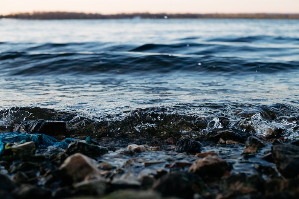 Фотография автора Дарина Фельдман