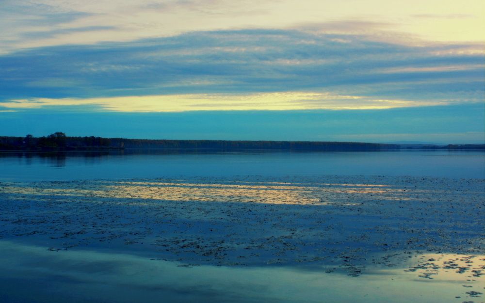 Фотография автора Nelya  Lysenko