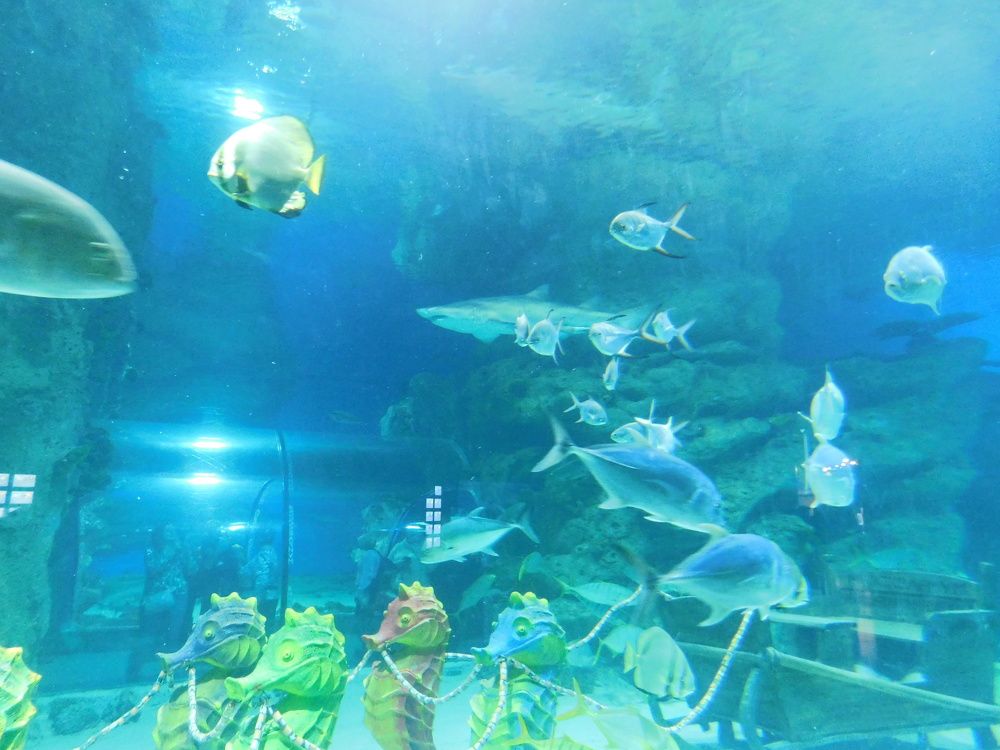 Photograph by Светлана Зотова