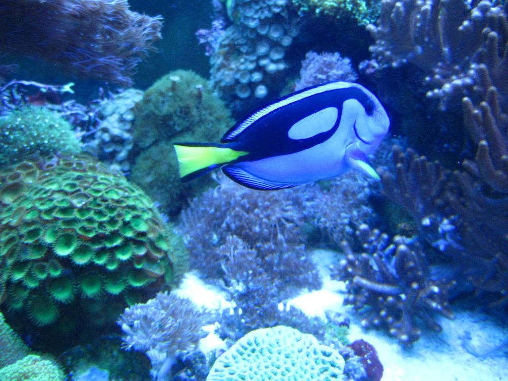 Photograph by Светлана Зотова