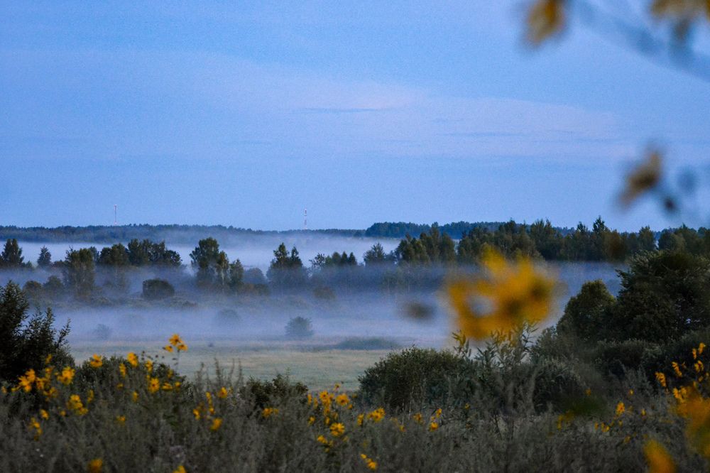 Photograph by Сергей Гуров