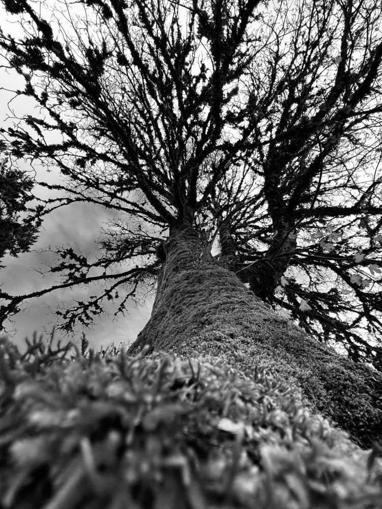 Фотография автора Diana