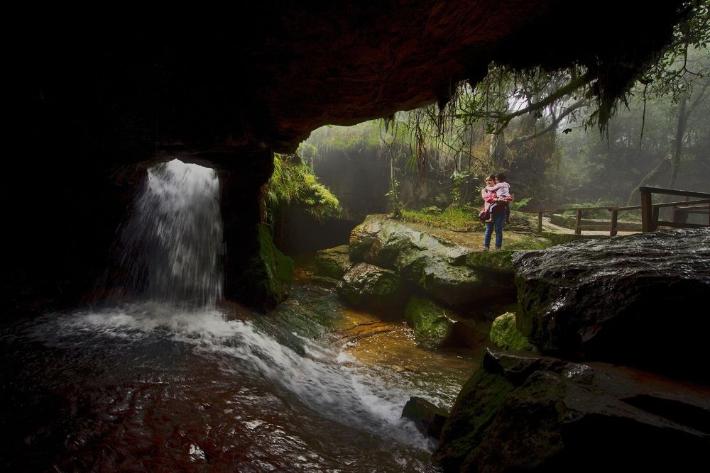 Фотография автора BIPLAB MISRA