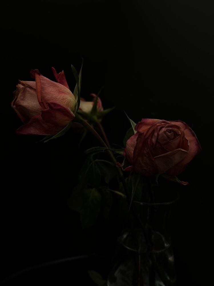 Фотография автора Diana