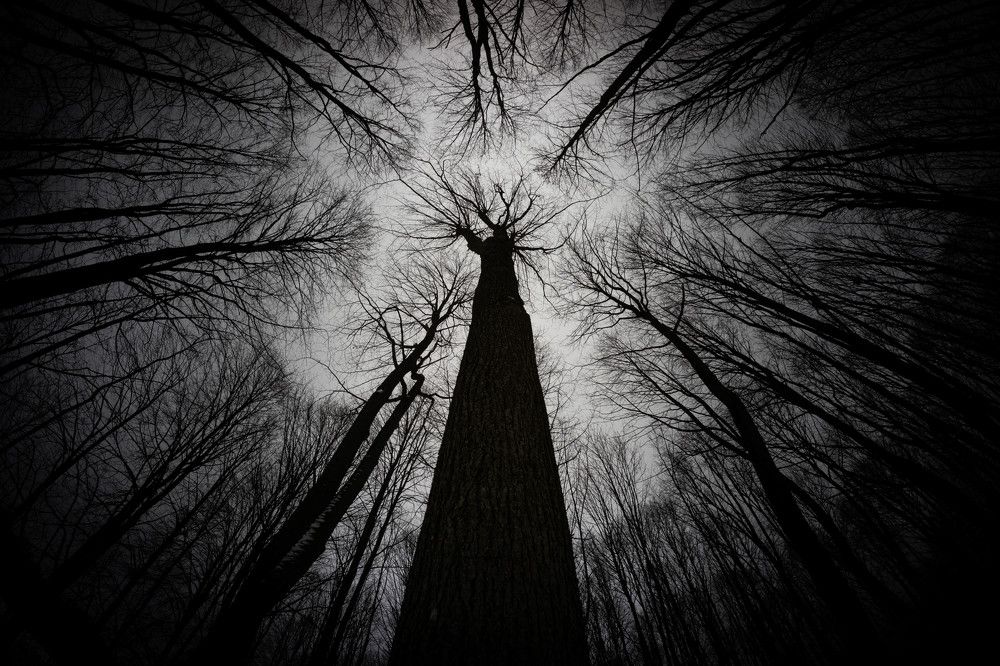 Photograph by Александр Ходакин