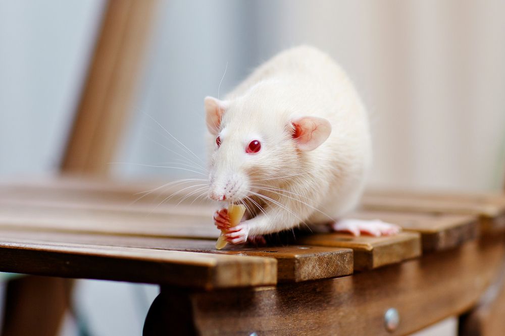 Photograph by Вербицкий Петр