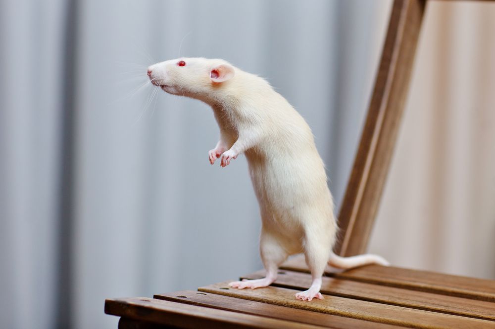 Photograph by Вербицкий Петр