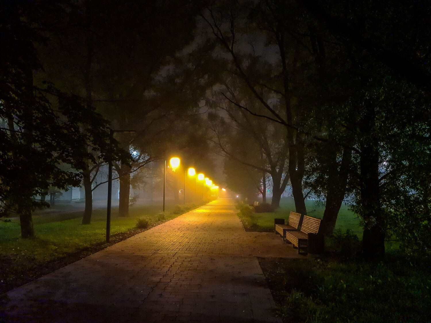 Туман.Вечер в городе