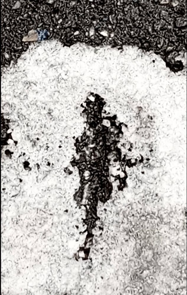 Фотография автора Аркадий Коновалов