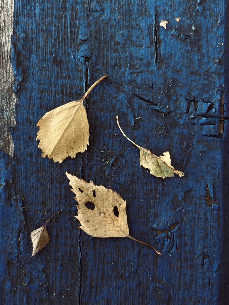 Photograph by Марина Рукавичко