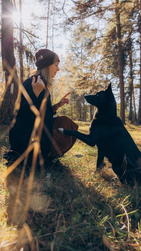 Photograph by Марина Рукавичко