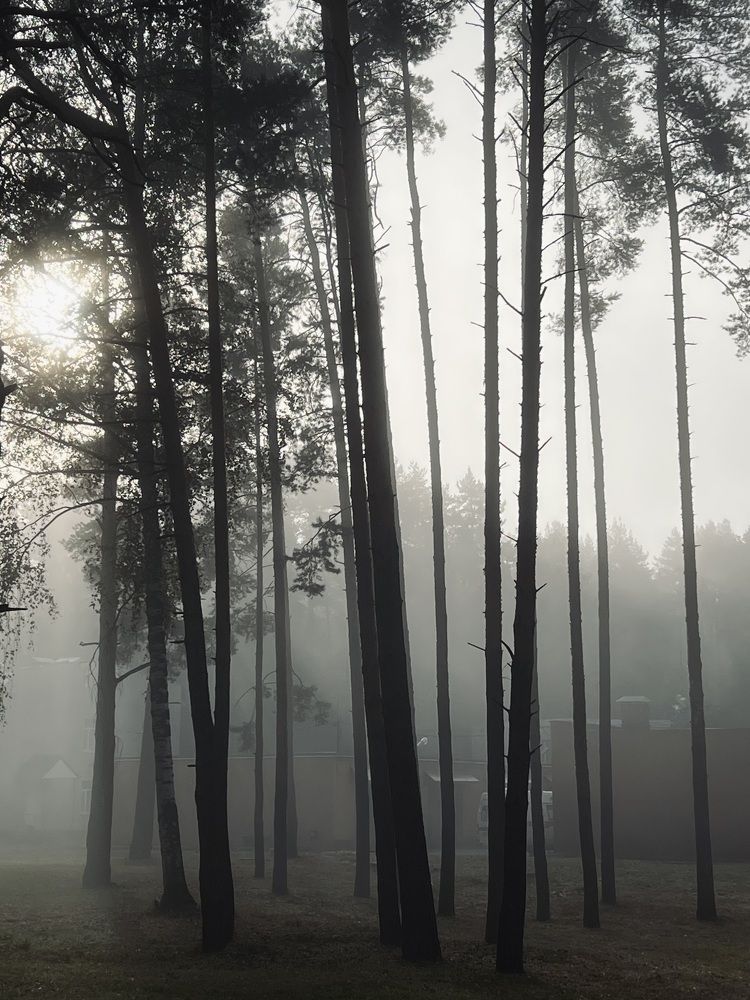 Photograph by Марина Рукавичко