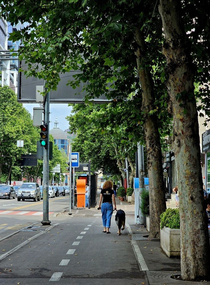 Photograph by Aliona KV