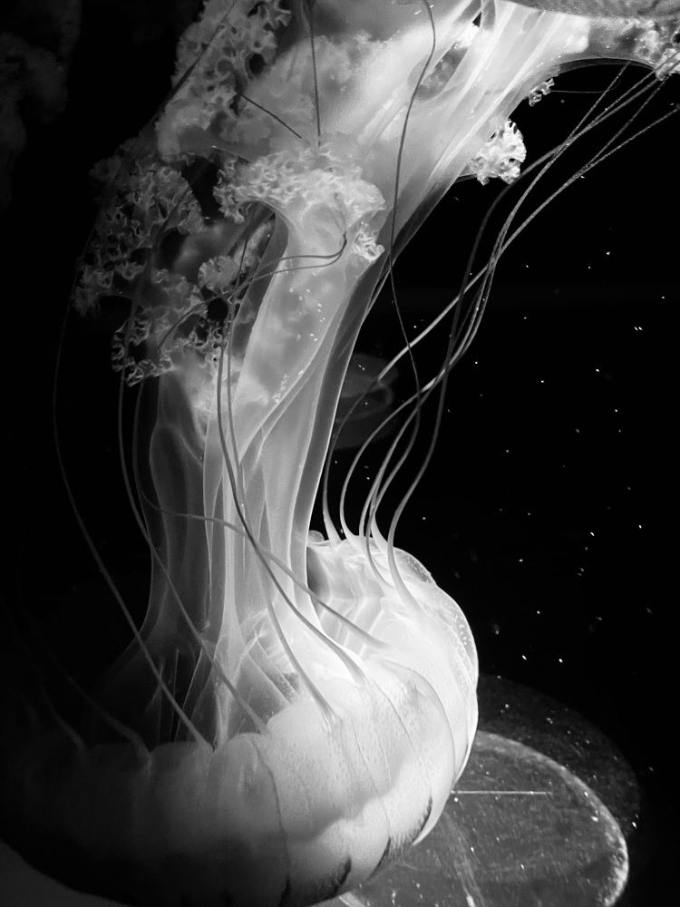 Фотография автора Olga Andriuc