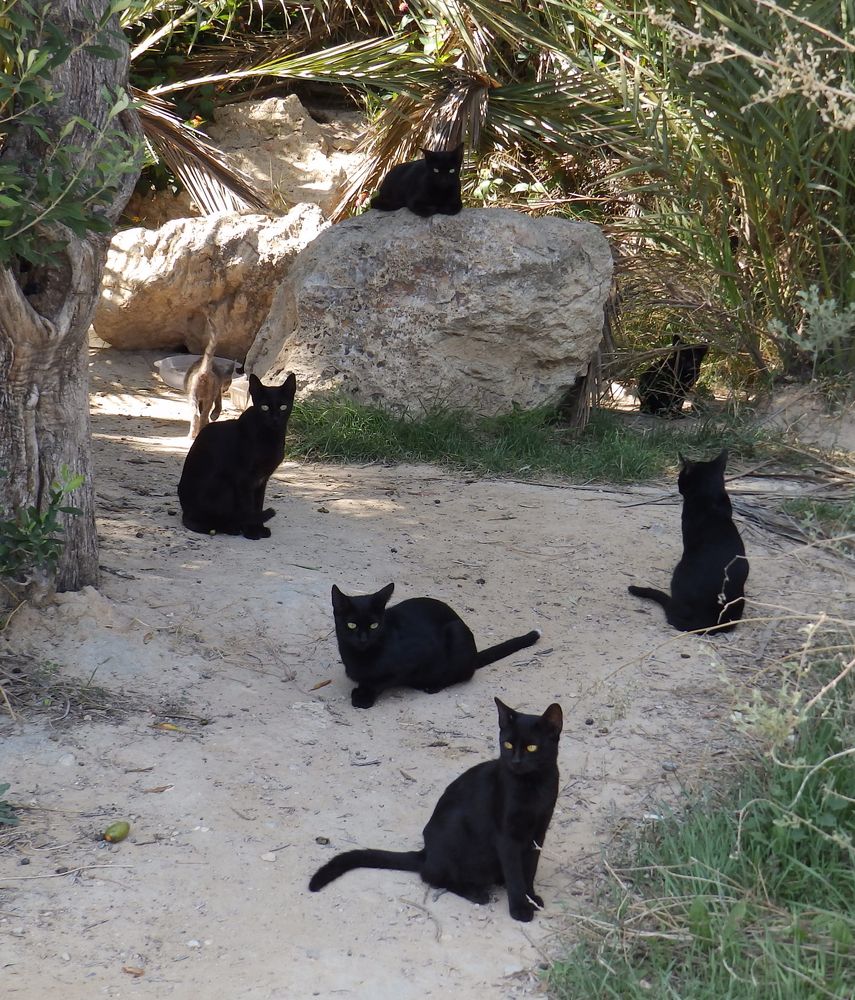 Photograph by Ирина Арканова