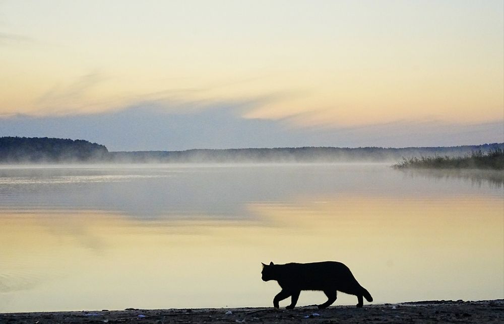Photograph by Олеся Зеленщикова